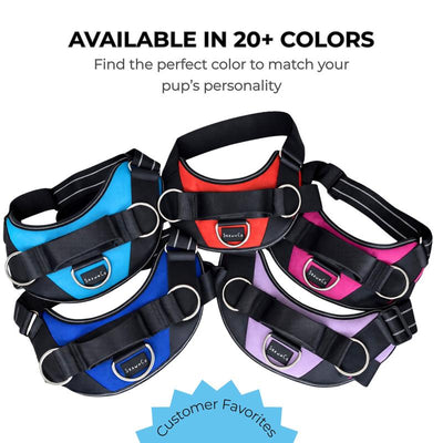 Lumessea CalmWalk™ No-Pull Harness