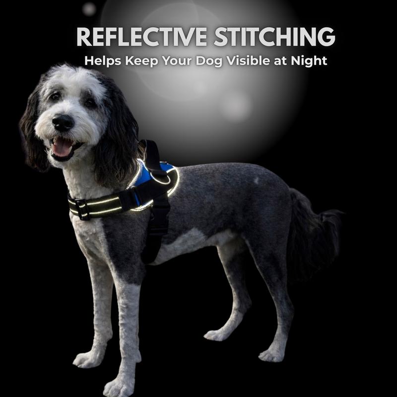 Lumessea CalmWalk™ No-Pull Harness