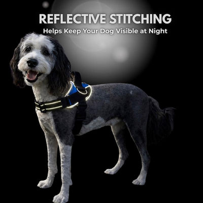 Lumessea CalmWalk™ No-Pull Harness
