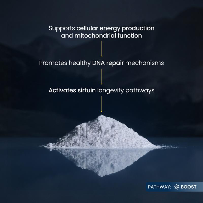 Lumessea NMN+ Longevity Powder™