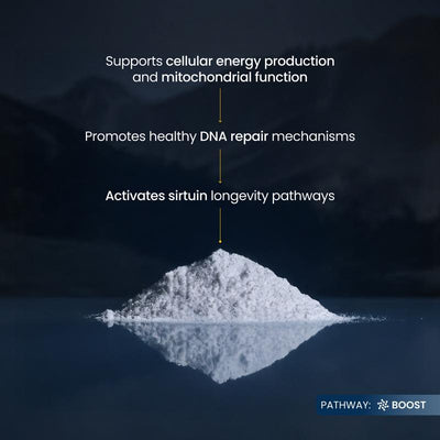 Lumessea NMN+ Longevity Powder™