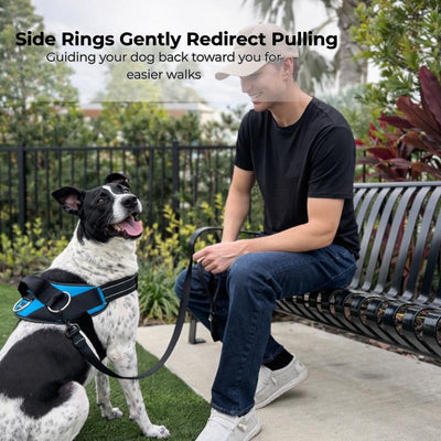 Lumessea CalmWalk™ No-Pull Harness